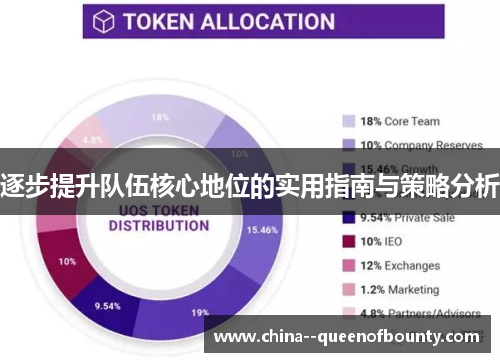 逐步提升队伍核心地位的实用指南与策略分析