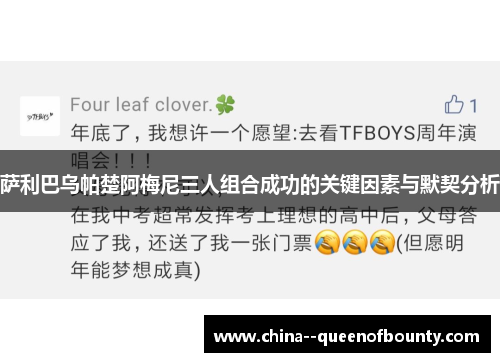 萨利巴乌帕楚阿梅尼三人组合成功的关键因素与默契分析