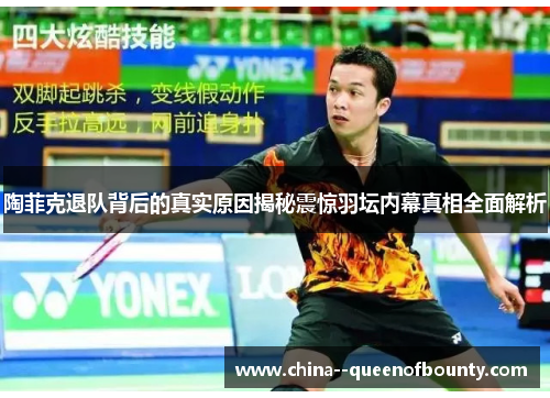 陶菲克退队背后的真实原因揭秘震惊羽坛内幕真相全面解析