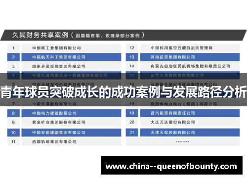 青年球员突破成长的成功案例与发展路径分析