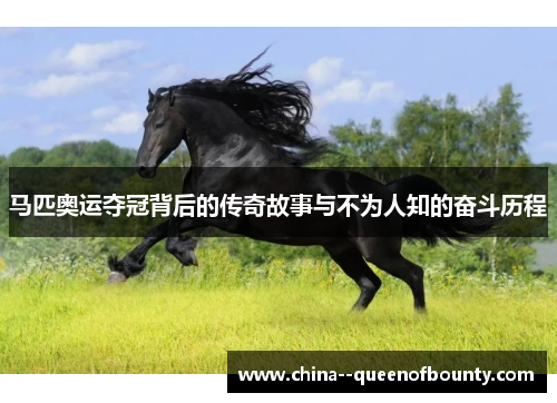 马匹奥运夺冠背后的传奇故事与不为人知的奋斗历程